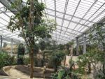 Biotropica