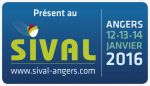 18646_sticker_Present-Sival_75x43_HD_31075