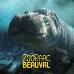 Affiche ZooParc de Beauval