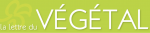 Lettre du végétal