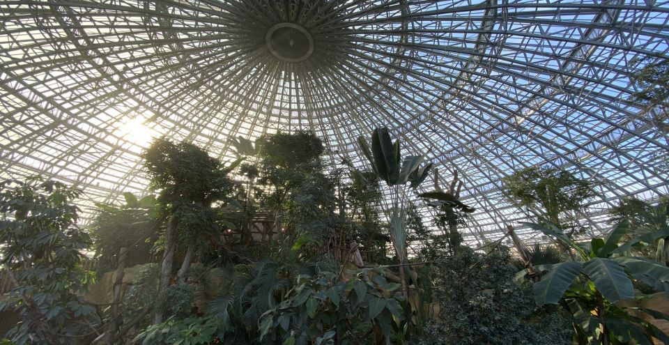 construction en verre pour le dome du Zoo Parc Beauval