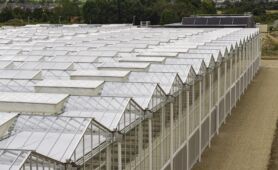 La serre BioActiv pour sécuriser la production de plants de vigne