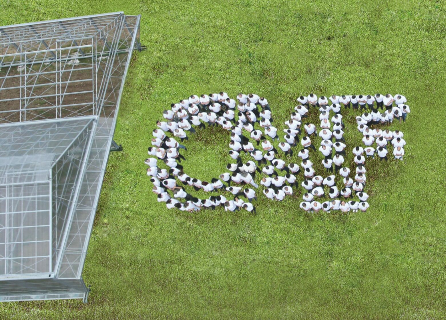 equipe cmf