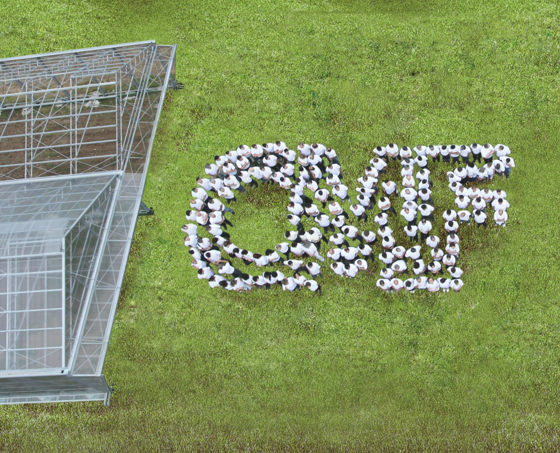 equipe cmf