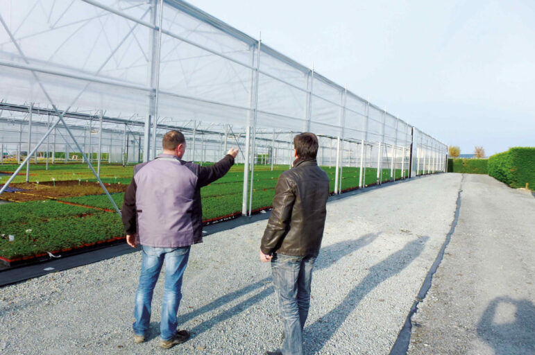 serre plastique horticole