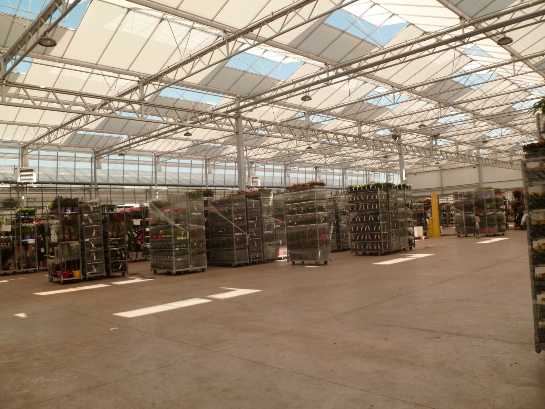 batiment vitré pour horticulture