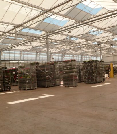 batiment vitré pour horticulture