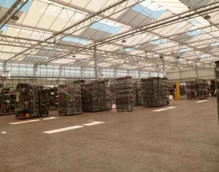 batiment vitré pour horticulture