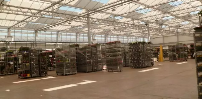 batiment vitré pour horticulture
