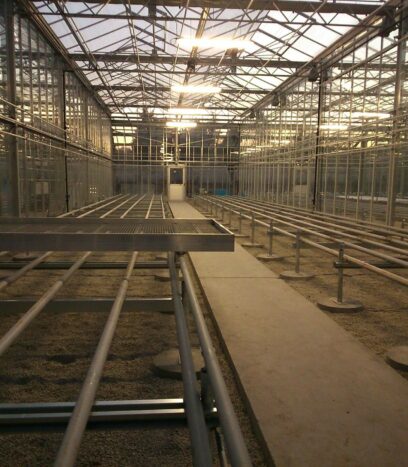 serre agricole