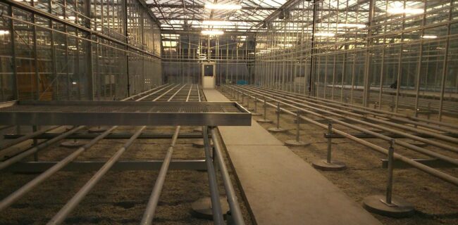 serre agricole