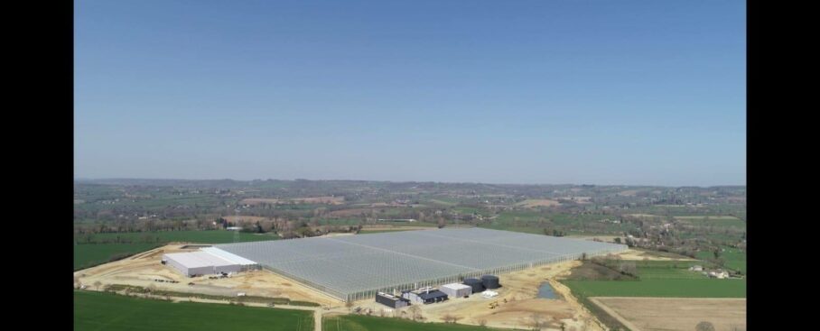 serres vitrées de production