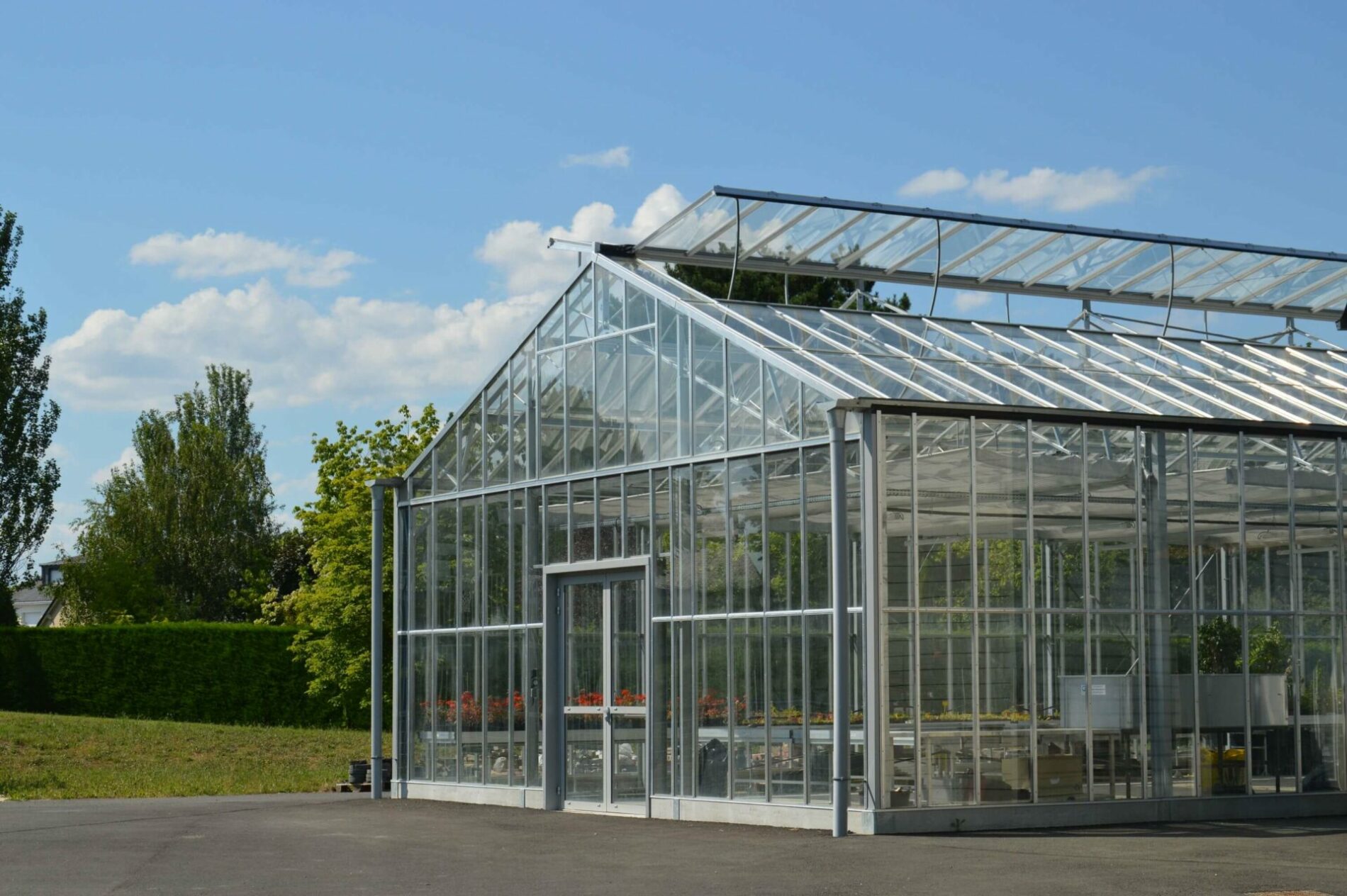 serre professionnelle en verre