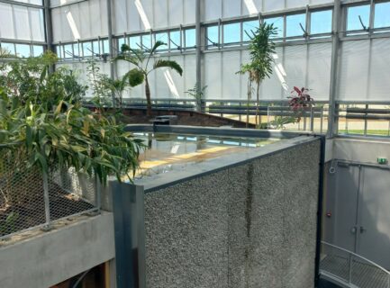 serre botanique vitrée professionnelle