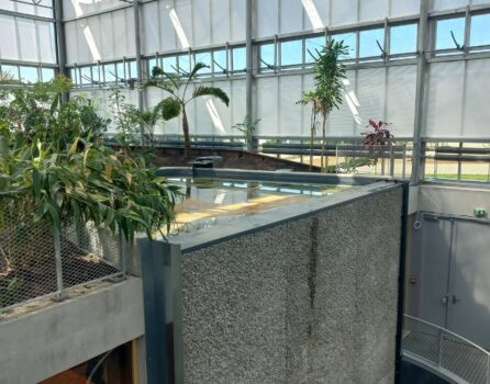 serre botanique vitrée professionnelle