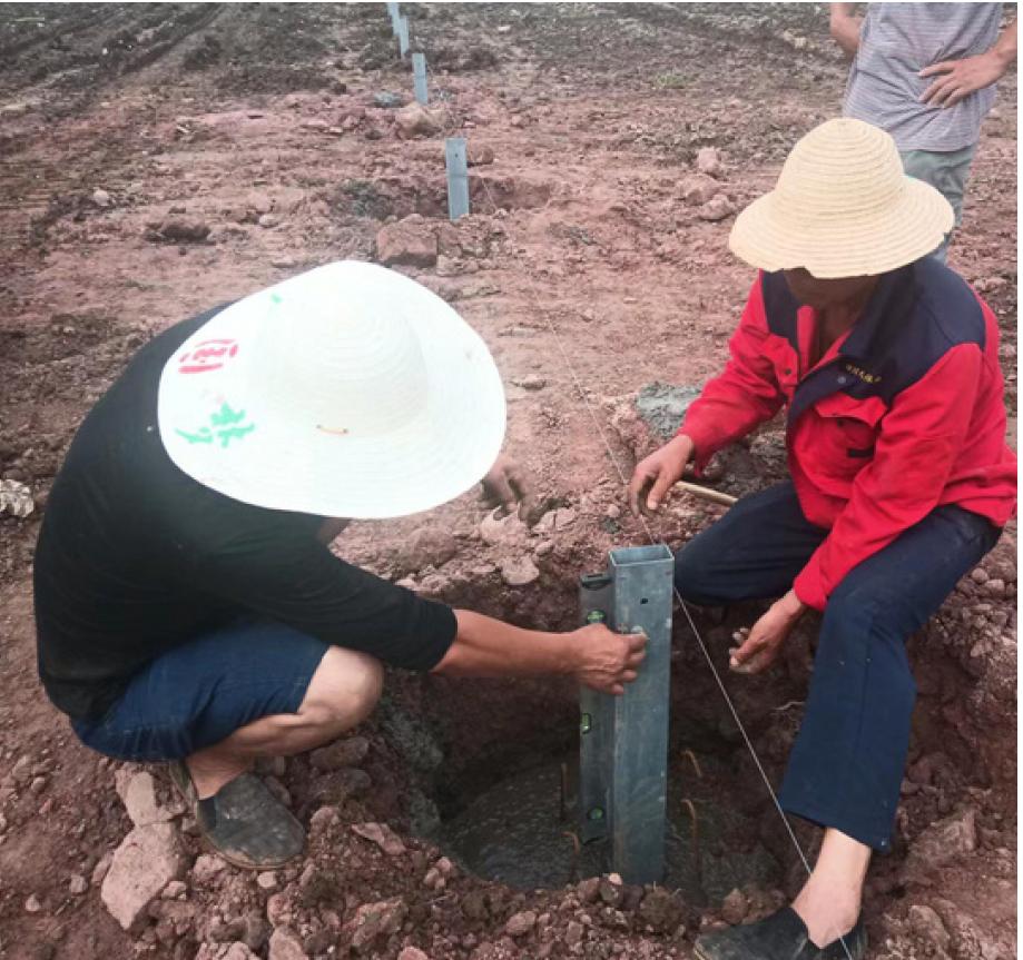 fondation serre greenpush en chine