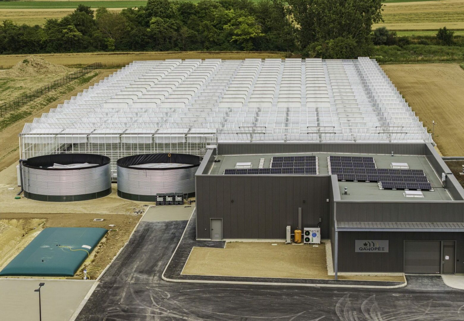 serre bioactiv pour plants de vignes
