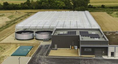 serre bioactiv pour plants de vignes