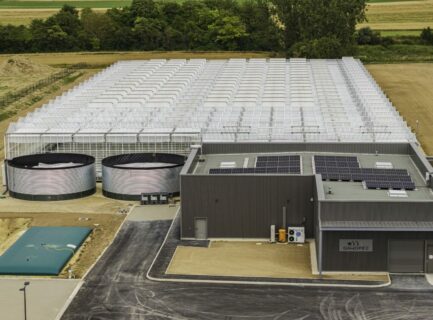 serre bioactiv pour plants de vignes