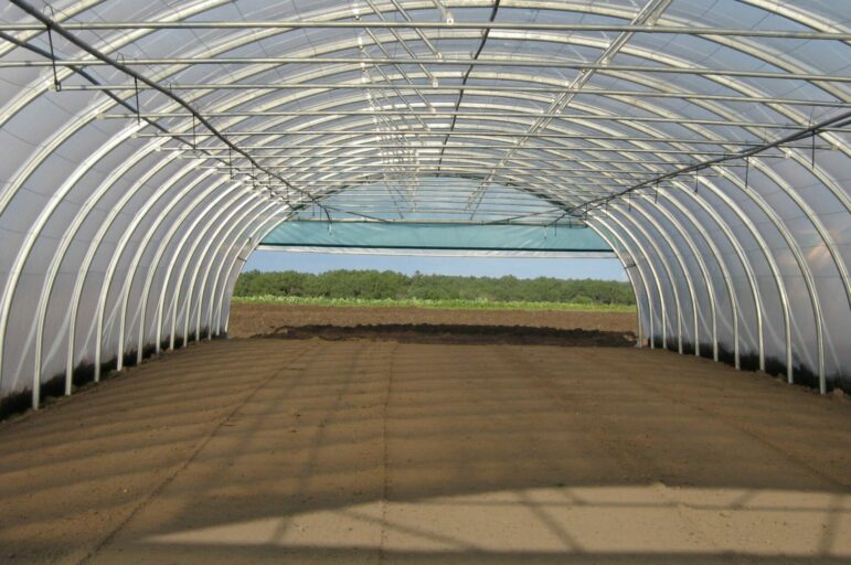 serre tunnel pour professionnel